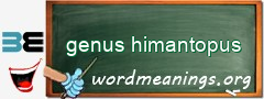 WordMeaning blackboard for genus himantopus